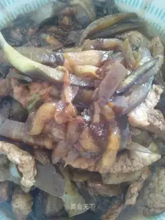 Fried eggplant