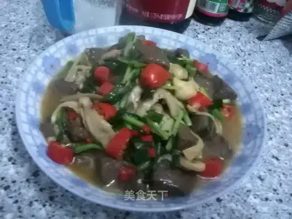 Duck blood