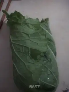 The bag
