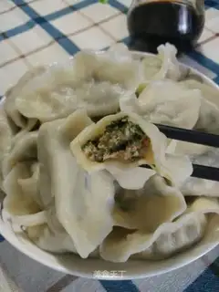 Pork dumplings