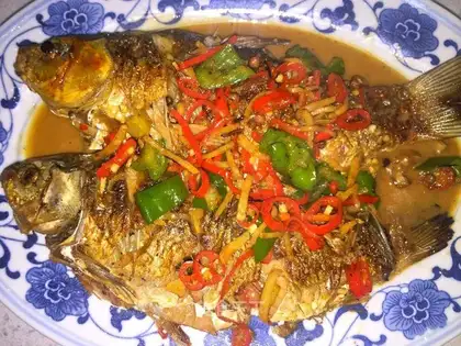Red-burned mackerel
