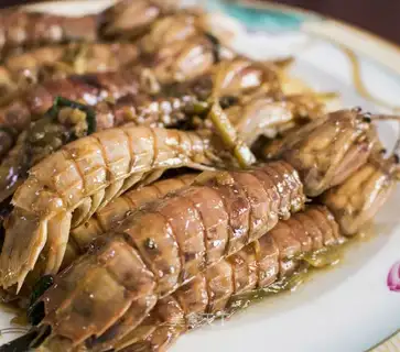 Shrimp