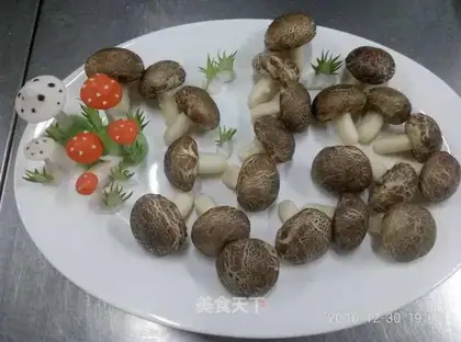 Mushroom bag