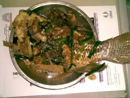 braised fish