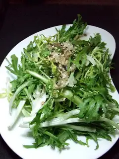 bitter chrysanthemum