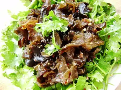 Appetitive fungus