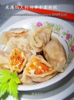 carrot vegetarian dumplings