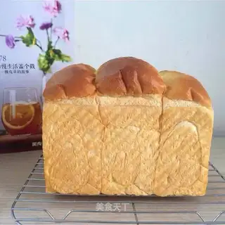 Yogurt toast