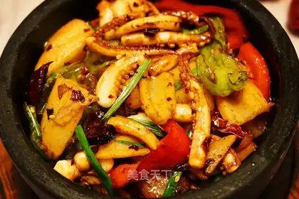 Rockpot squid