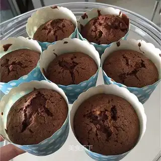 Chocolate cupcakes