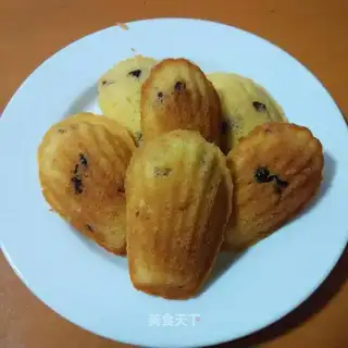 Cranberry Madeleine