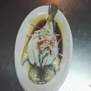 Squidfish
