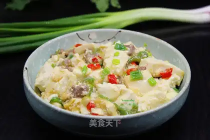 Meat tofu
