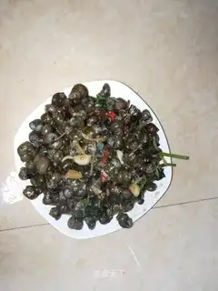 Snails