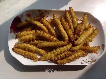 A fried green bug