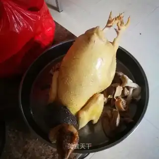 Spring Chicken