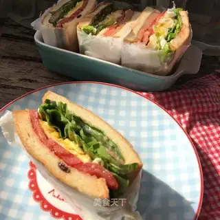 Bag sandwich