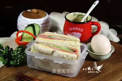 Ham cheese sandwich