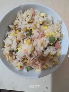 Sodium salmon