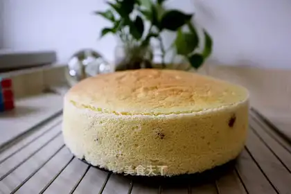 Cranberry yogurt cake