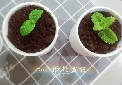 Olio yogurt fruit plant
