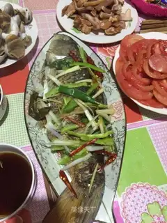 Steam carp