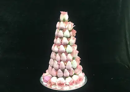 Fruit blossoms