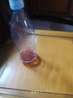 Green bean water