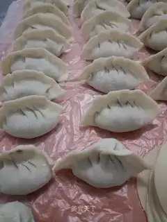 Spicy meat dumplings