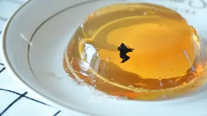 Ulong tea and jelly