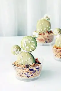 The tea cactus
