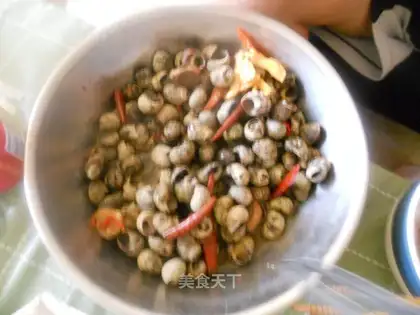 Spicy field snail