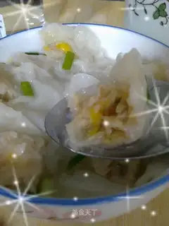 Fresh meat wonton
