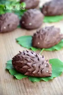Soothing little hedgehog