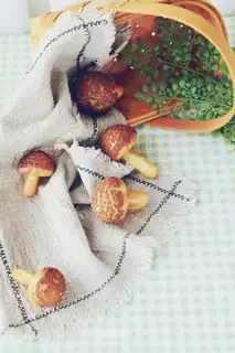 Soothing mushroom puff