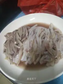 Squid