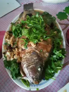 I'm a fish