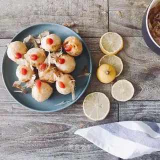 octopus