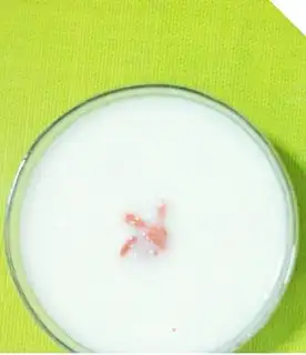 Porridge