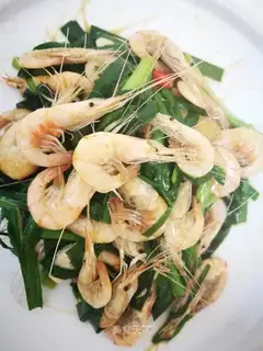 Shrimp