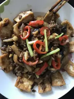 Meat and eggplant fried tofu