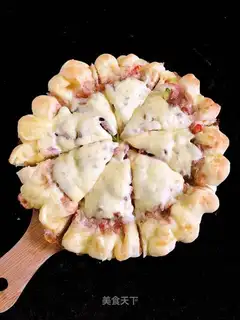 Beef cheesy pizza