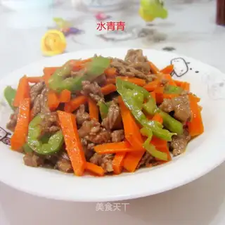 Cream pepper carrot and beef silk