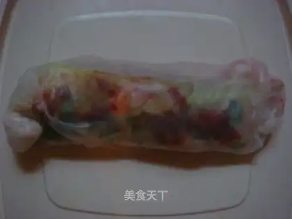 Vietnam rice rolls