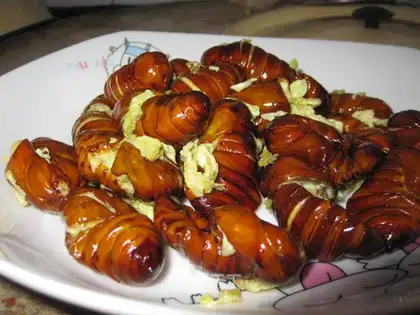 fried silkworm chrysalis