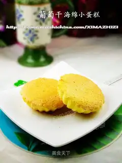 Raisin sponge cake