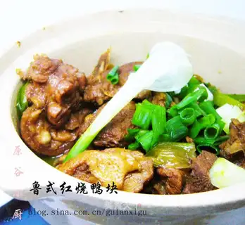 braised duck pieces