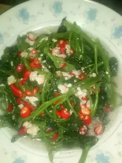 Saline with red potato leaves