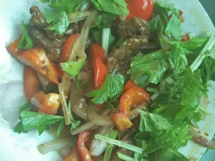 Soy beef