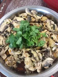 Sourfish